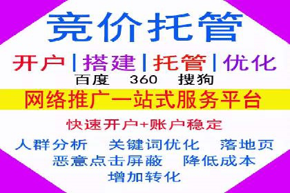 竞价广告在XX行业的成功应用案例
