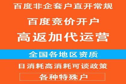 成功案例解析：SEM竞价托管助力企业品牌升级